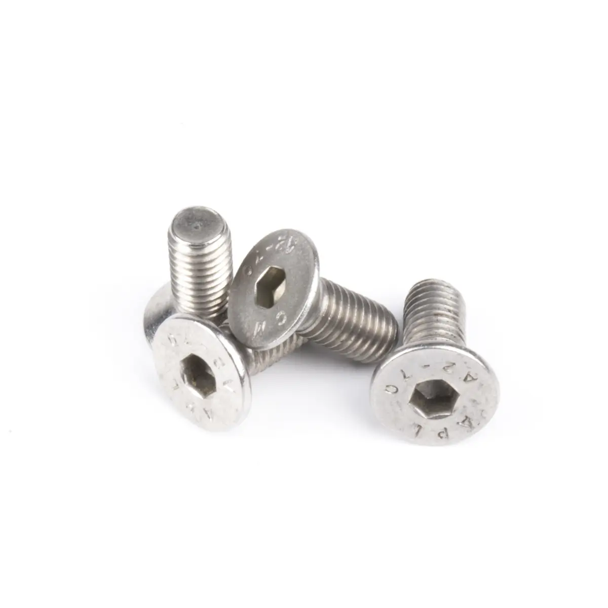 Paslanmaz çelik denetim kapağı için sabitleme vidaları